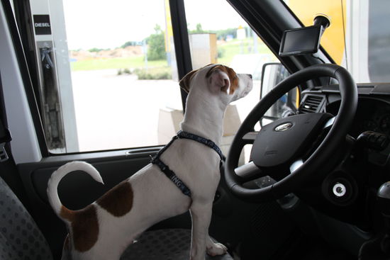 Wer ist hier der Chef?