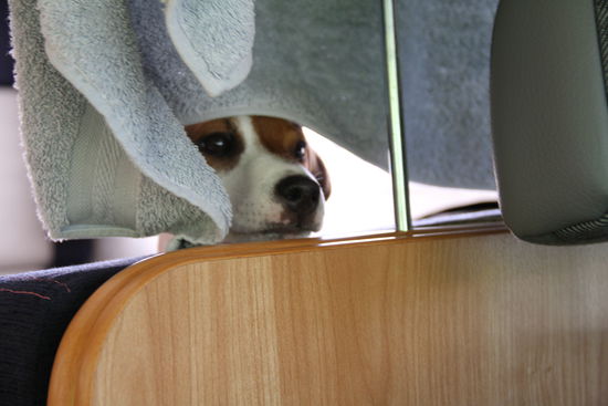 Der Chef kurz vor der Abfahrt