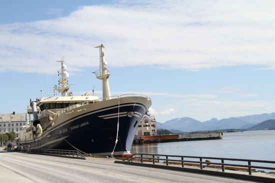 Bergkulisse und riesiges Schiff in Alesund