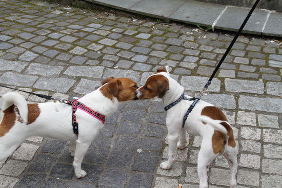 Ja, du schaus't ja aus wia I ... wer bist denn Du ???