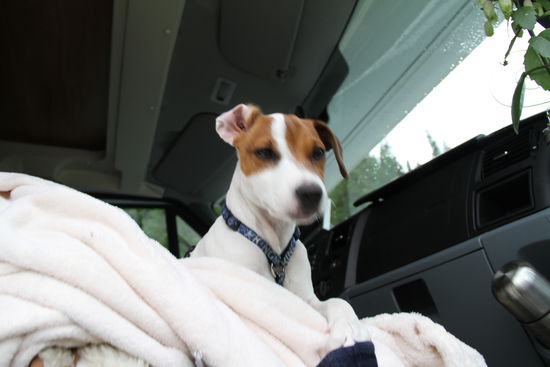 Ja, ich bin auch dabei