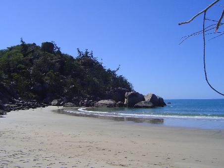 Radical Bay