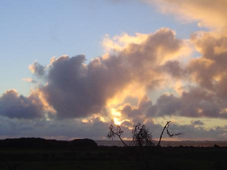 Sonnenuntergang zwischen Robe und Beachport