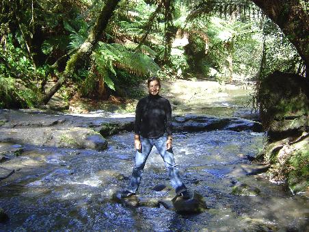 Bei den Erskine Falls
