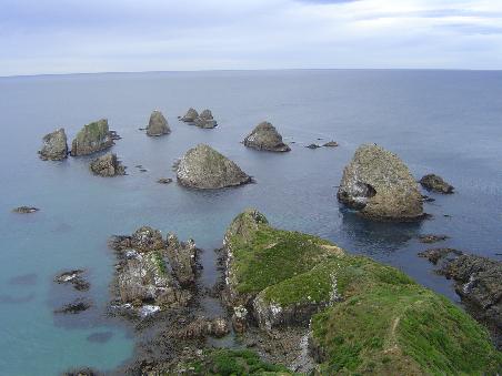 Am Nugget Point