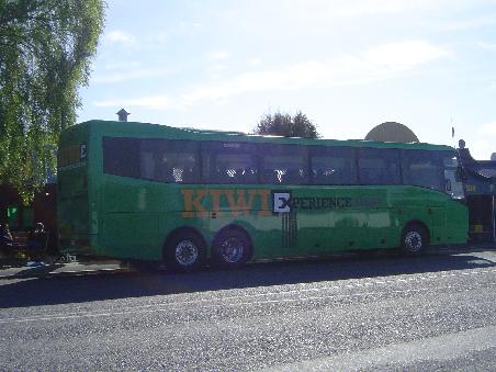 Der beruehmte gruene Kiwi-Bus