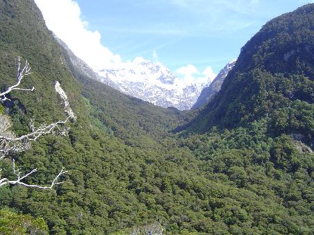 Auf dem Weg nach Milford Sound