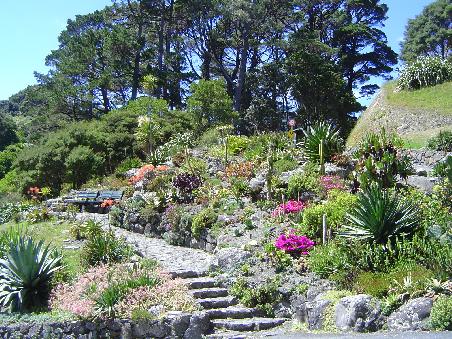 Im Botanischen Garten von Wellington