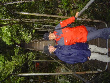 Mossman Bridge