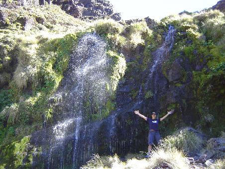Die Soda Springs
