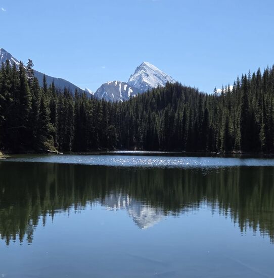 Moose Lake
