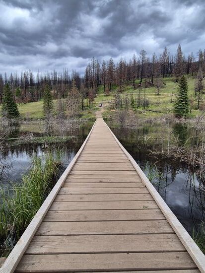 Anfang des Rundwegs. Brücke über die Wetlands