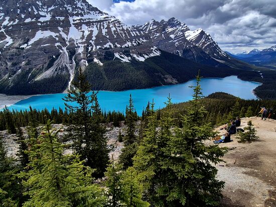 Der Peyto Lake (Der sieht wirklich so aus...)