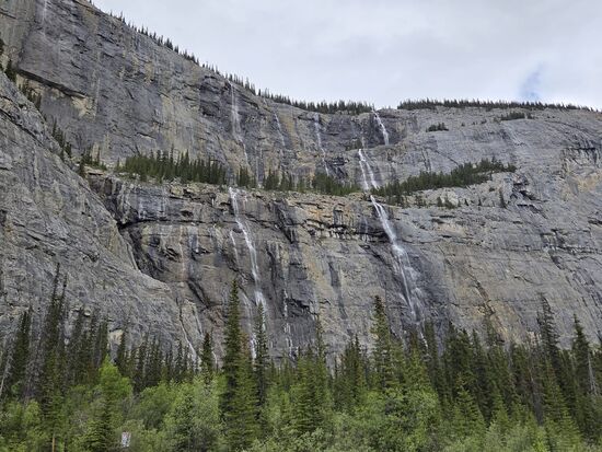 The Weeping Wall (300 Meter hohe Felswand)
Im Winter frieren die Wasserfälle zu und man kann dort Eiskletterer beobachten.