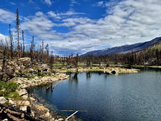 Horseshoe Lake