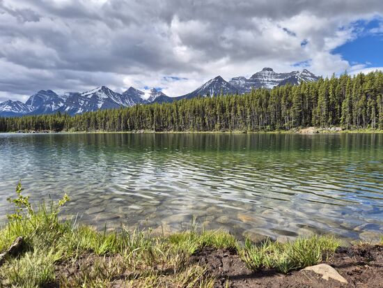 Herbert Lake