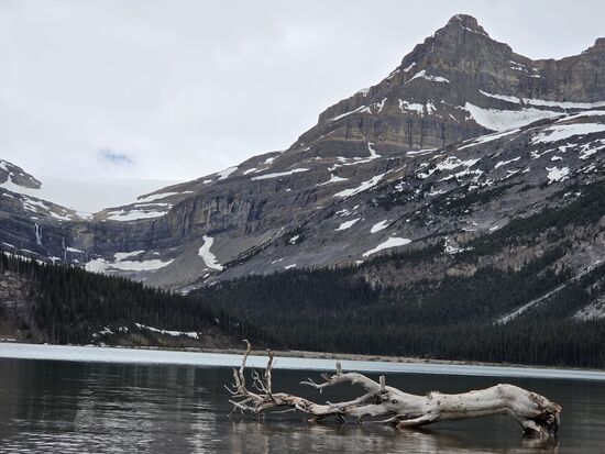 Bow Lake