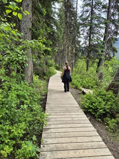 Wir sind schon schlechtere Wege durch den Wald gelaufen...
Aber meistens ging es dann doch über normale Waldwegen mit Wurzeln und Matsch am See entlang