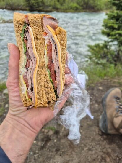 Roastbeef Sandwich