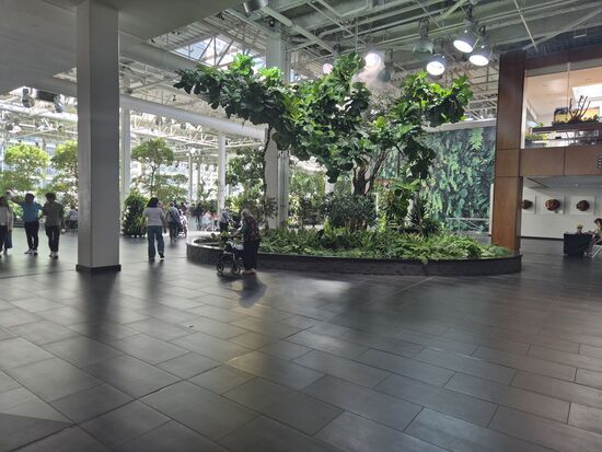 Devonian Gardens