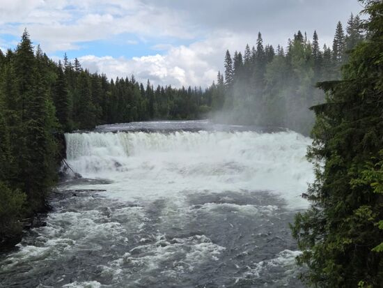 Dawson Falls (107 m breit), die kleinen Niagarafälle...