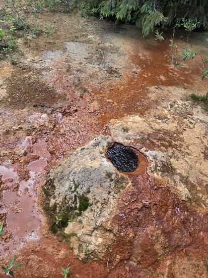 Mineralquelle