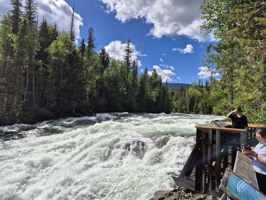 Bailey's Chute