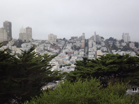 San Francisco vom Coit Tower aus