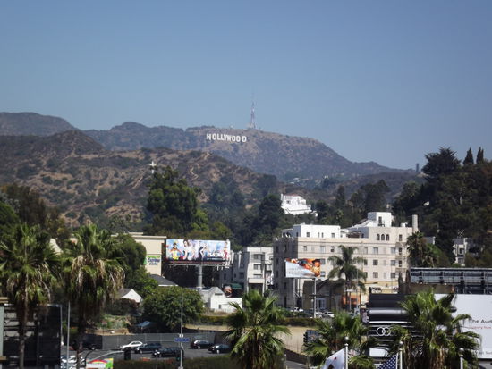 Auch wir haben`s gesehen und fotografiert... 