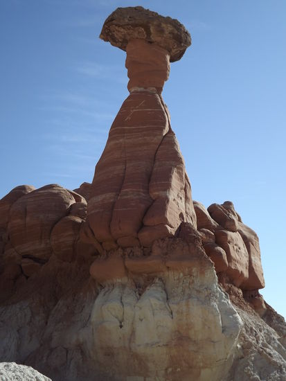 Toadstool Hoodoo