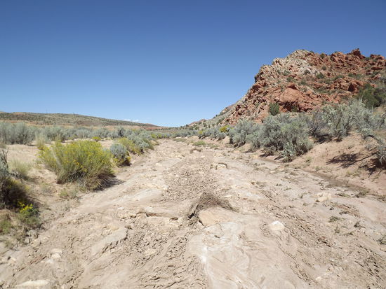 Das ausgetrocknete Flussbett