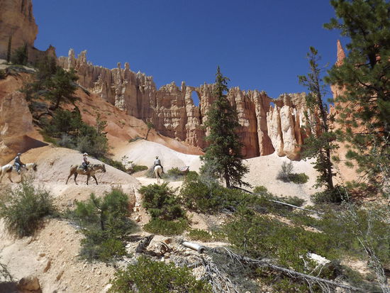Was ein Glück müssen wir das nicht zu Fuß laufen...