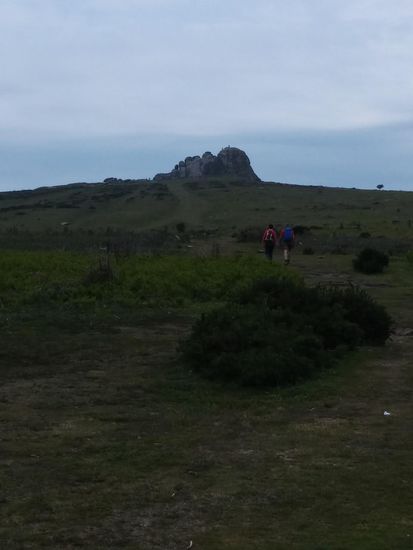 Der Weg zu den Haytor Rocks