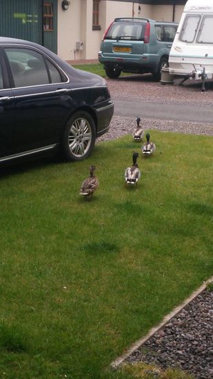 Nachdem geklärt wurde, dass wir nix zum Essen haben, sind die Wegelagerer weiter gezogen...
