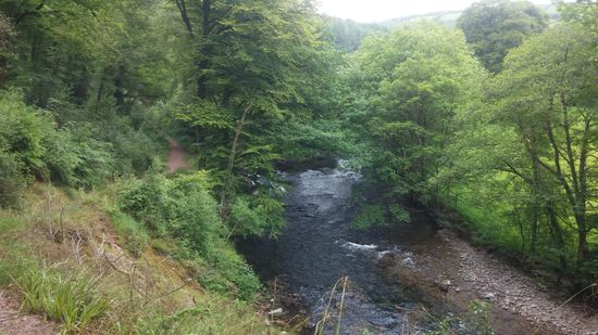 Der Bach am Anfang unserer Rute