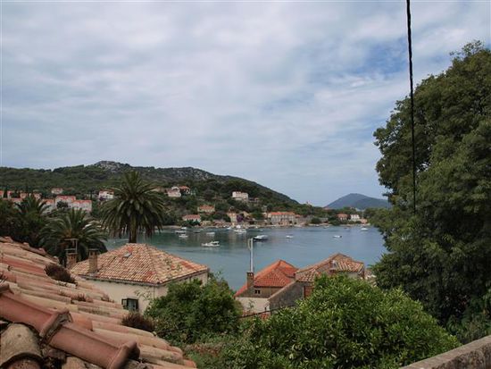 auf der ersten Insel