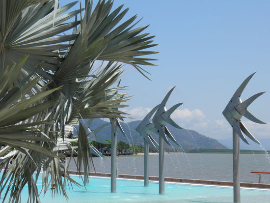 Cairns Esplande