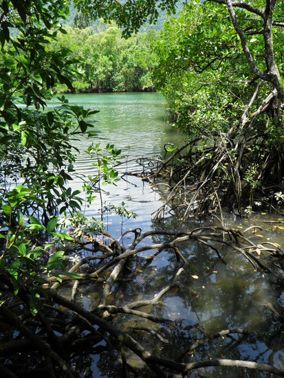 ...krokodilfreier Crocodile-River...