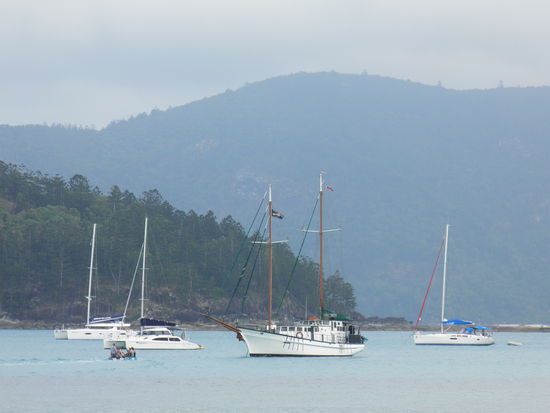 Die "New Horizon"...