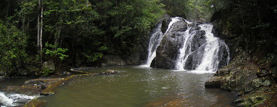 ...kann jemand ein Schnabeltier sehen?