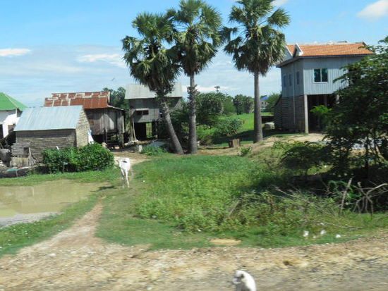 Living in Cambodia