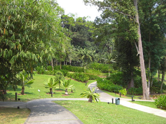 Botanic Garden