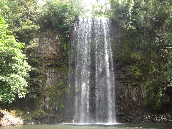 die Millaa Millaa Falls