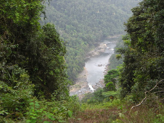 ein Lookout über ich-weiß-aucn-nicht-mehr-welchen-River 