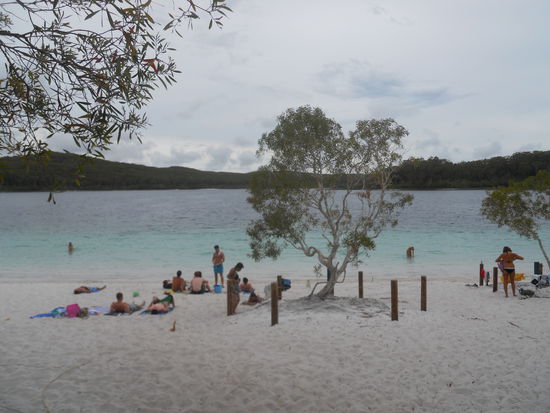 Lake McKenzie (in echt und bei gutem Wetter kommt der ganz anders rüber, der vordere Abschnitt ist komplett türkis!)