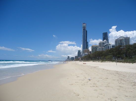 Die ersten Bilder gehören noch zum letzten Bericht!
Surfers Paradise