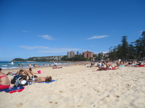 Manly Beach