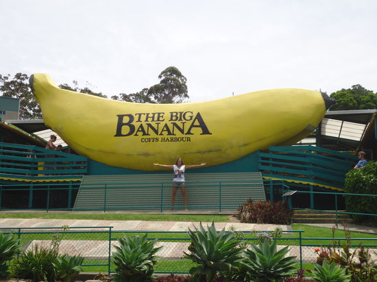 bei der Big Banana in Coffs Harbour