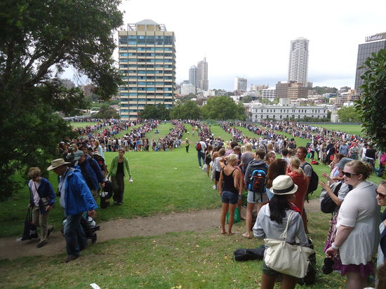 Jep, das war die Schlange...