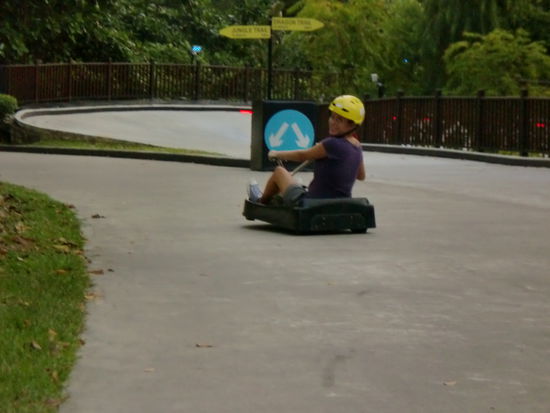 die geile Bobbahn! haha...